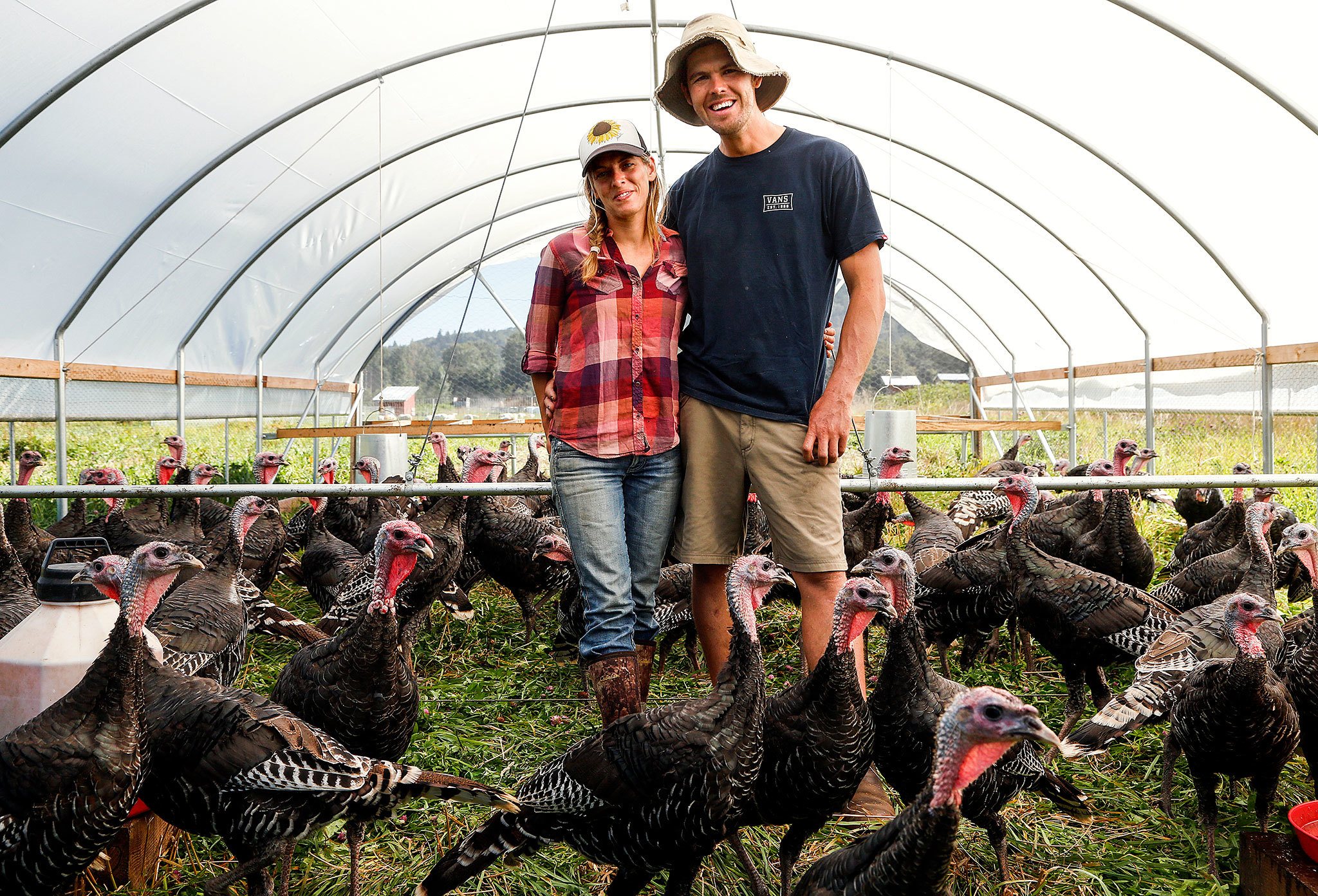 Micha and Andrew Ide, of Bright Ide Acres in Snohomish, began raising heritage turkeys a couple of years ago, and have sold out every year. (Dan Bates / The Herald)