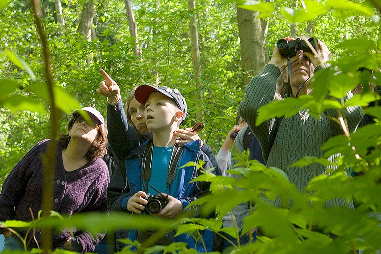 Birders will be flocking to festival in Edmonds on Sept. 9-11