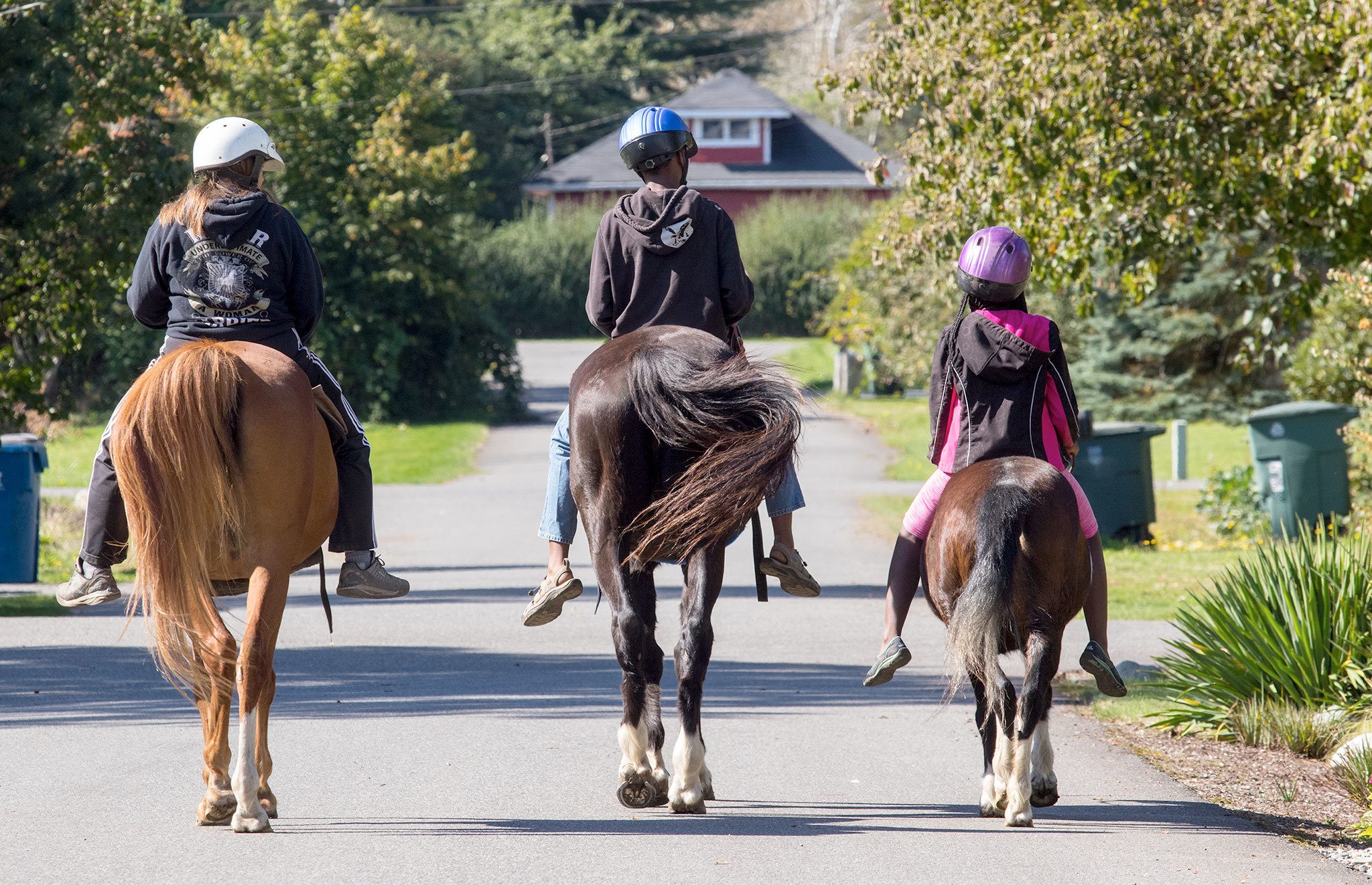 Te’onna Tobin, 12, rides her pony along with her mother, Rene Tobin, and brother, Justin, as they celebrate her birthday by riding through Startup on Tuesday. (Andy Bronson / The Herald)
