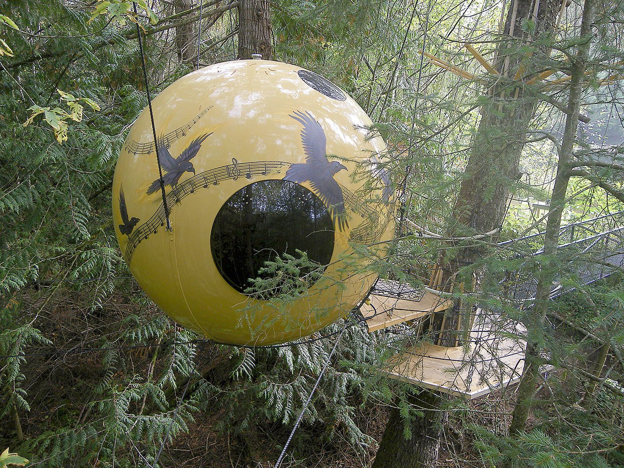 The hotel room sphere named Melody rests in a spruce tree on Vancouver Island in British Columbia. (Photo by Tom Chudleigh)