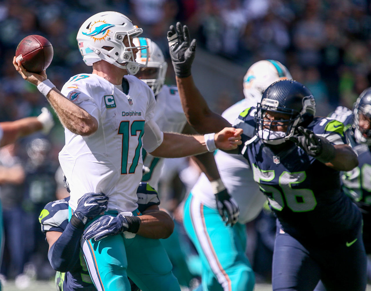 Dolphins quarterback Ryan Tannehill attempts to get the a pass off with Seahawks linebacker Bobby Wagner wrapping and Seahawks defensive lineman Cliff Avril, right, closing at Century Link Field in Seattle on September 11, 2016. The Seahawks defeated the Dolphins 12-10. (Kevin Clark / The Herald)

