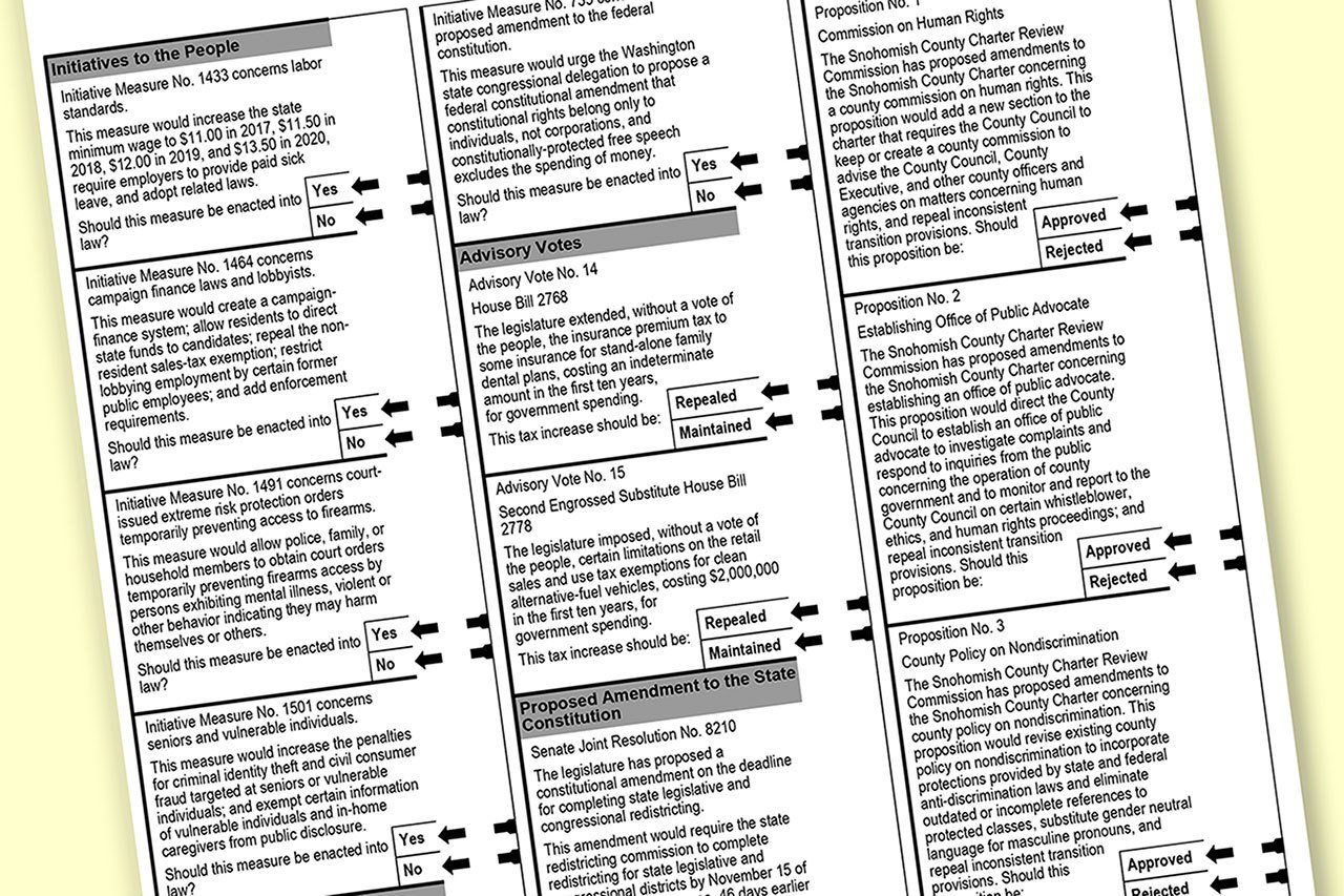 A portion of a sample of the November ballot. (Snohomish County Elections)