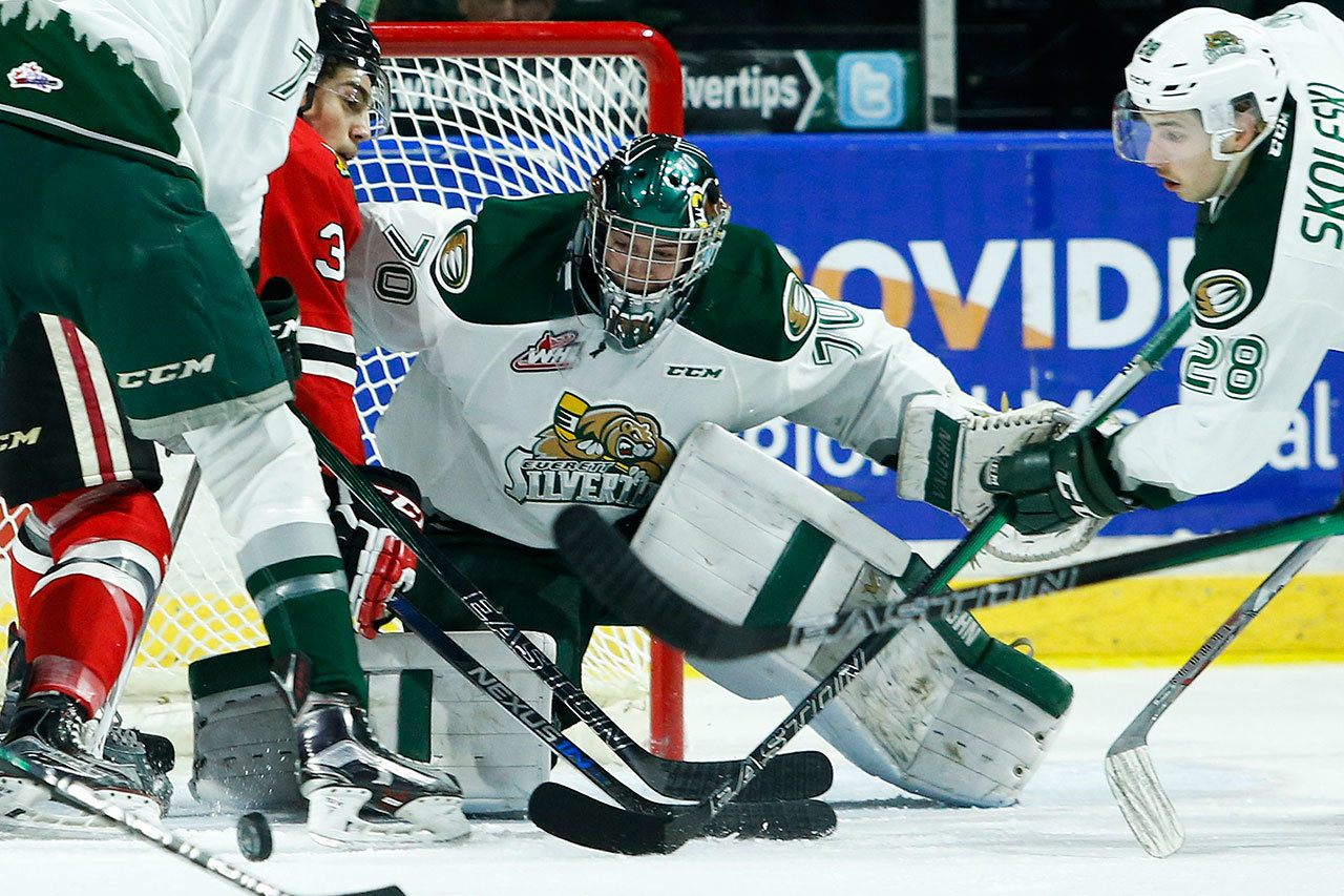 Silvertips goalie Carter Hart (center) looks for the puck during a game against Portland last season at Xfinity Arena in Everett. (Ian Terry / The Herald)