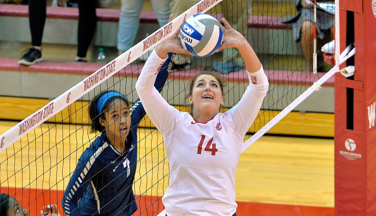 Haley MacDonald, a graduate of Jackson High School, is a senior setter on the Washington State University volleyball team that is the surprise of the Pac-12 this season. (Washington State Athletic Communications)