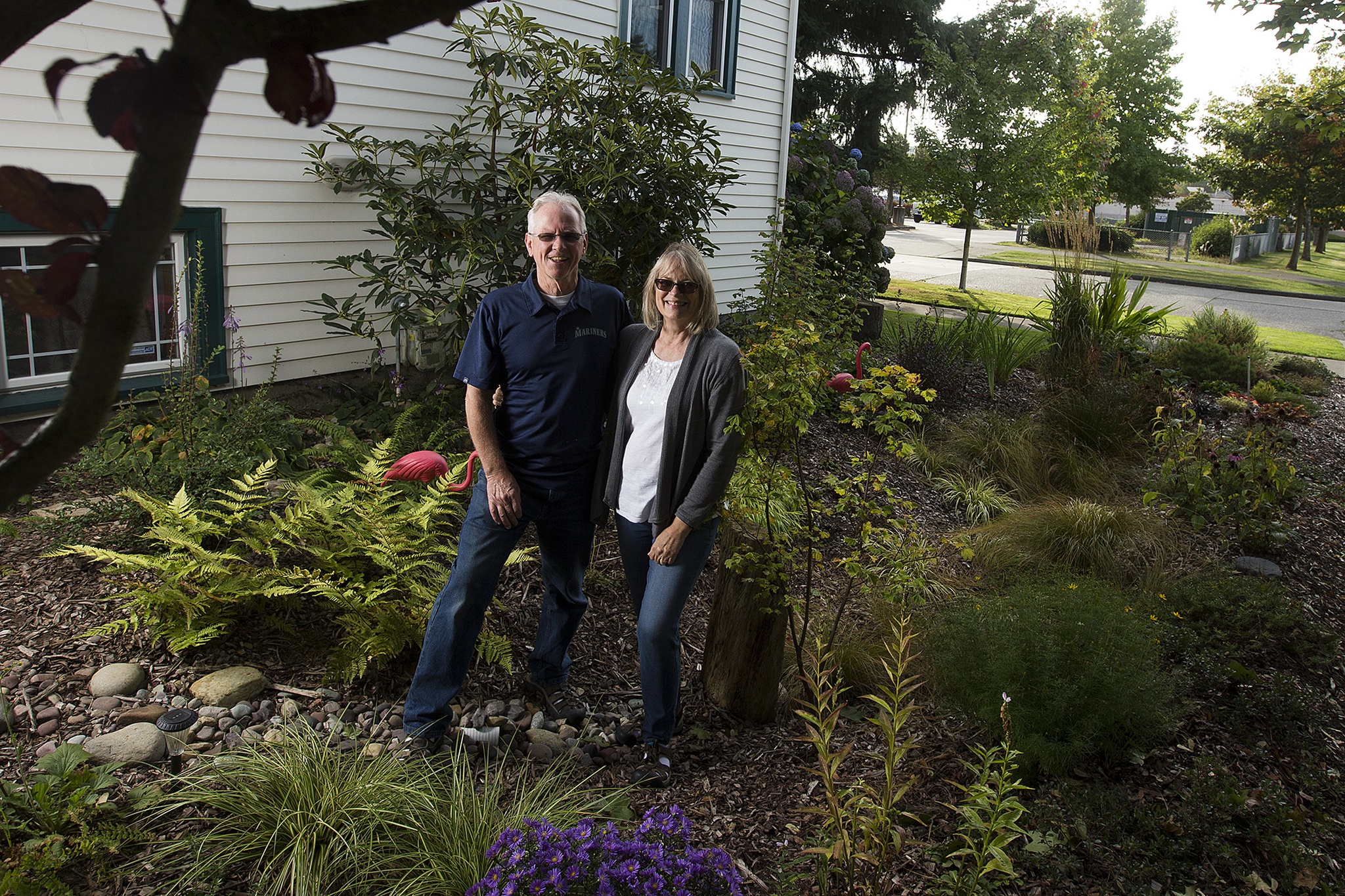 Paul and Roxanne Wright stand in their rain garden at their home in Everett. The garden, designed by Roxanne, is recessed three feet into the earth and draws water from pipes along the roof. (Ian Terry / The Herald)