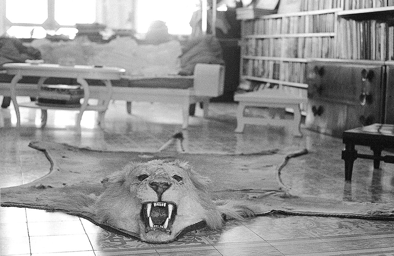 In this May 10, 1965, photo, the skin of one of the lions Ernest Hemingway killed is displayed on the library floor of Hemingway’s home in Cuba. (AP Photo/File)
