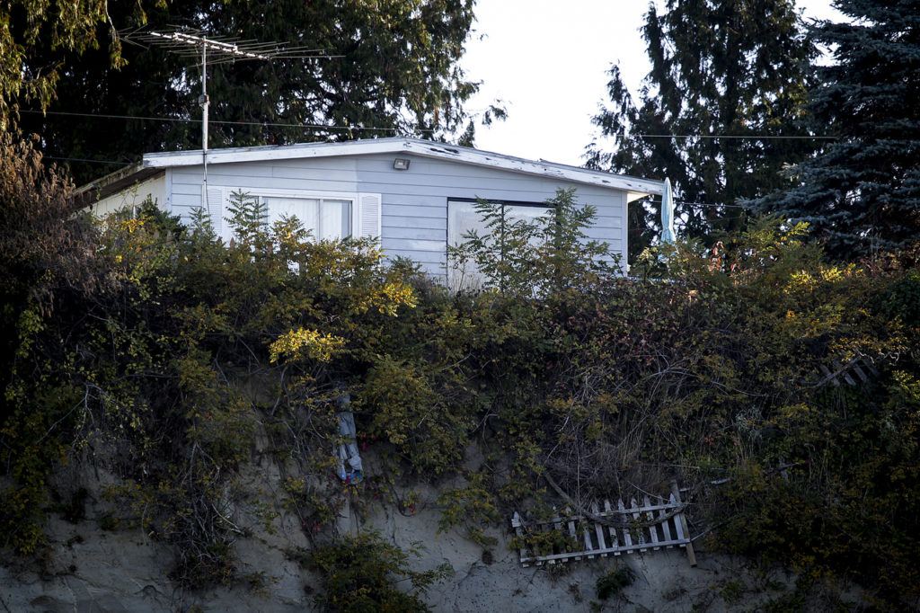 An eroding hillside near Hermosa Point on the Tulalip Reservation. (Ian Terry / The Herald)
