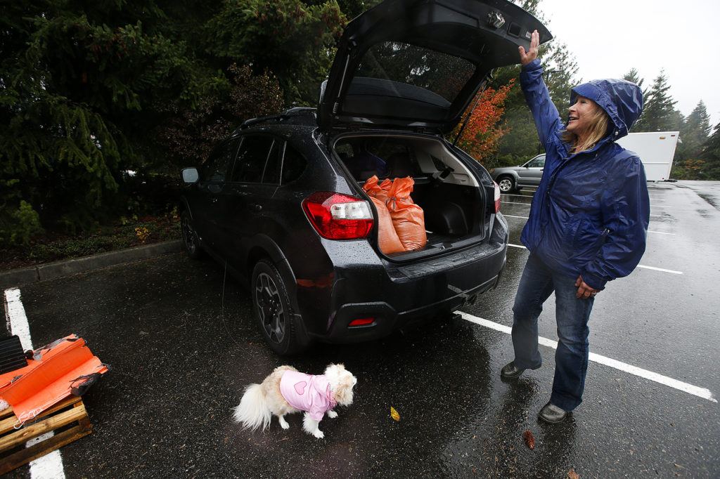 Tami Colyn, of Lynnwood, finishes loading the back of her car with sandbags prepared at a station setup by the City of Edmonds Public Works at their facility at 7110 210th Street Southwest in Edmonds. The free self-serve station provides everything needed to make sandbags and will remain open through Sunday. (Ian Terry / The Herald)

