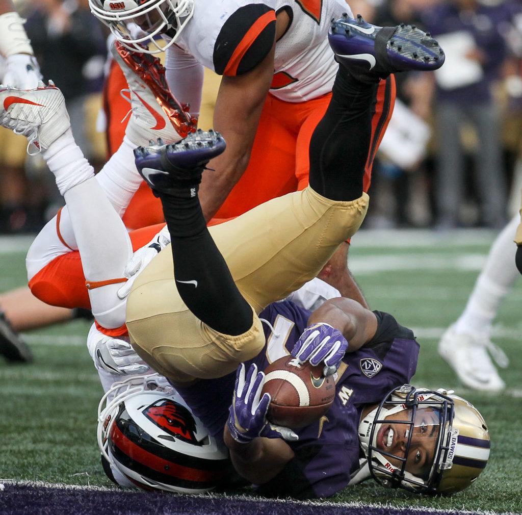 Washington’s Myles Gaskin rolls atop Oregon State’s Devin Chappell for a touchdown Saturday afternoon at Husky Stadium in Seattle. (Kevin Clark / The Herald)
