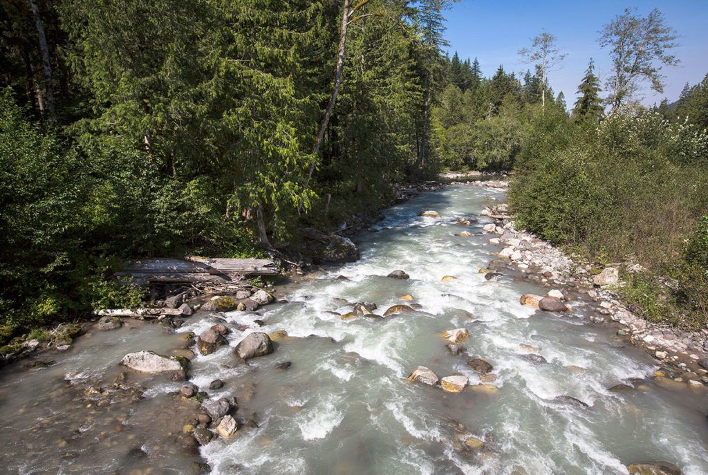 The Sauk River rushes by near a popular boat launch area close to White Chuck Mountain off the Mountain Loop Highway just outside of Darrington. (Daniella Beccaria / For The Herald)
