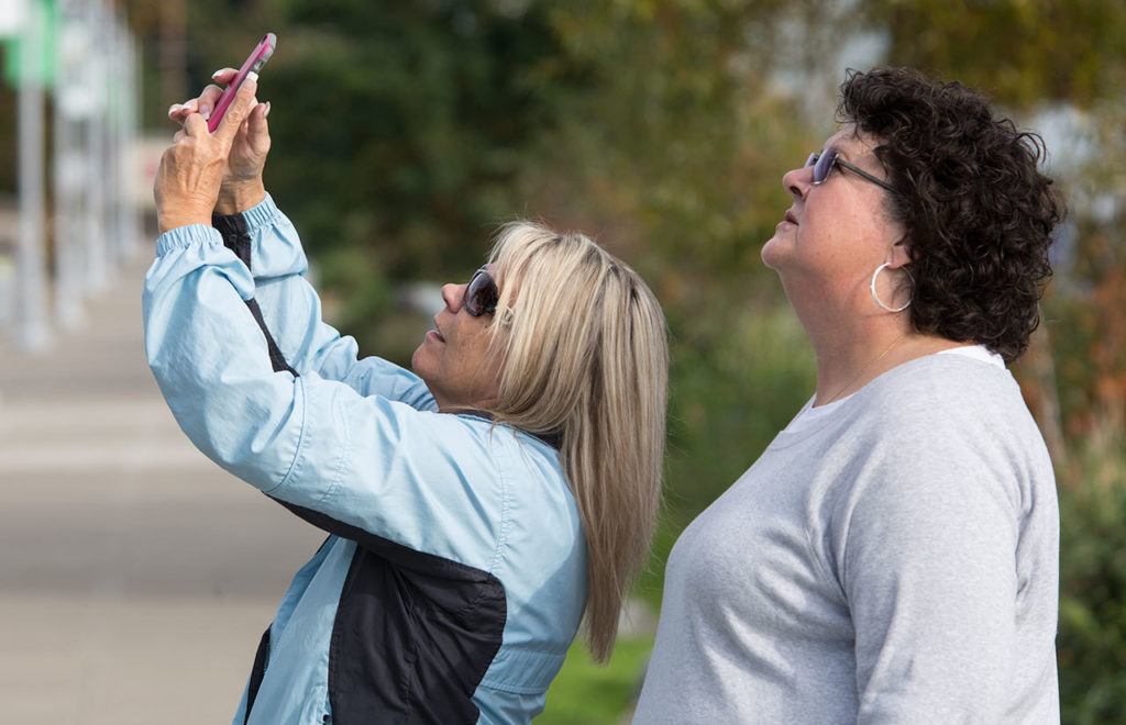 Lila Davenport takes a photo while she and Becky Reimer watch as a great horned owl is rescued at the Everett Marina on Wednesday in Everett. (Andy Bronson / The Herald)
