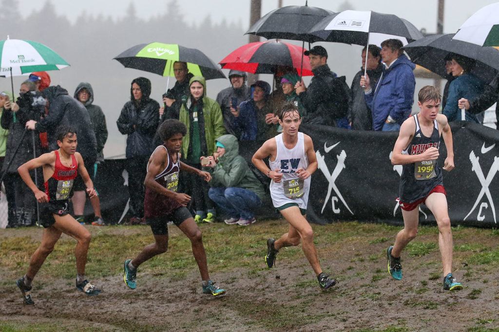 The final heat of the boys’ varsity makes their way through the course during the annual Hole in the Wall at Lakewood High School on October 7, 2016.(Kevin Clark / The Herald)
