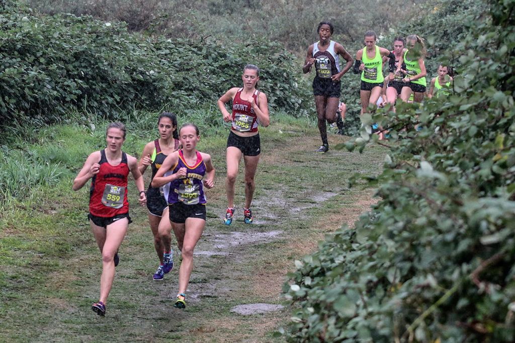 The girls Division 1 field winds its way through the course at the 33rd annual Hole in the Wall Invitational on Saturday atLakewood High School in Arlington. (Kevin Clark / The Herald)
