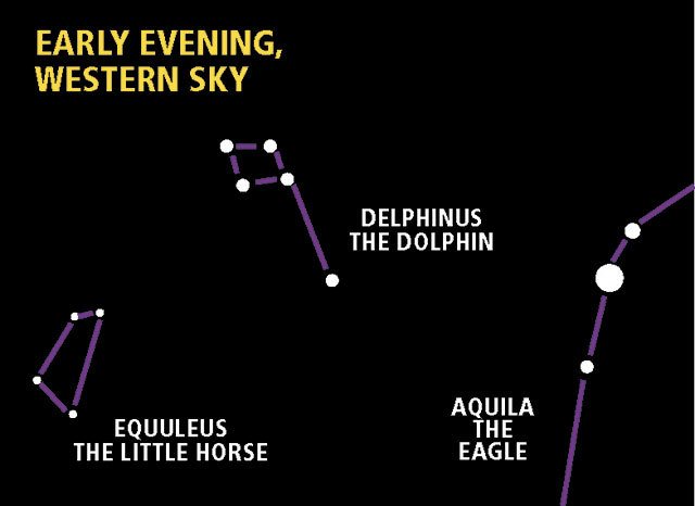Starwatch: Spot the little dolphin and the tiny horsey
