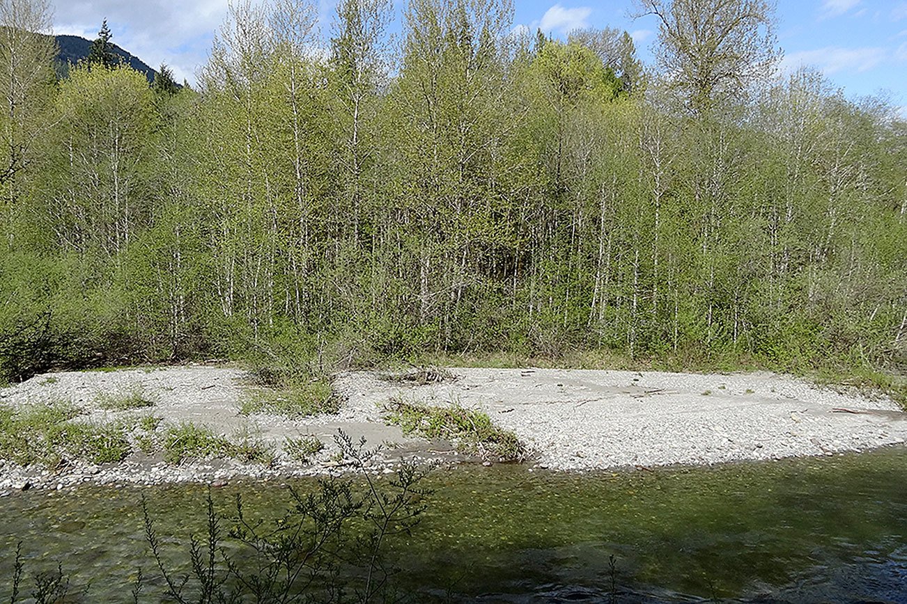 Family sells 33 acres on Stillaguamish River for county park