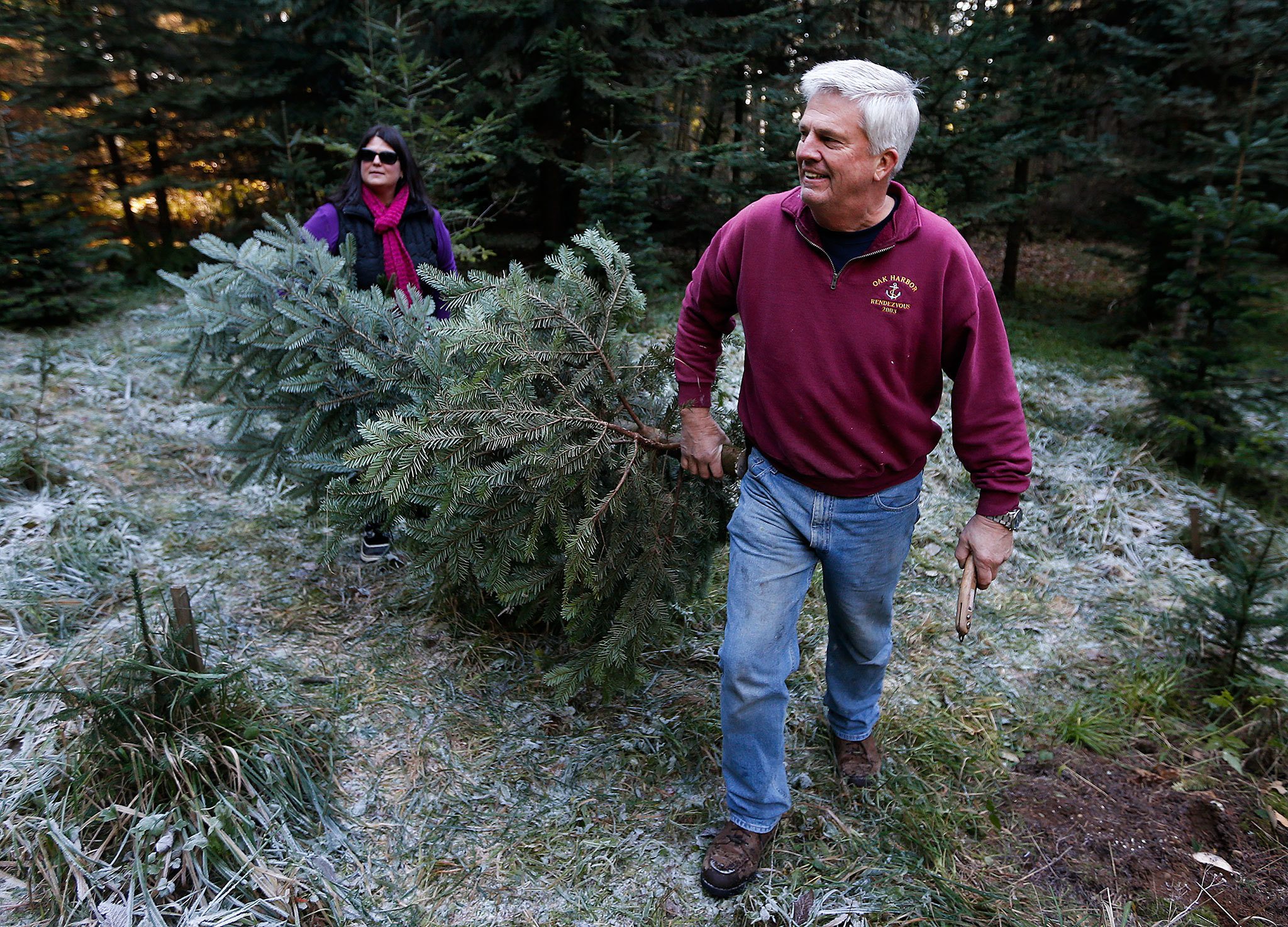 Ian Terry / The Herald Alan Anderson (right), of Tulalip, carries a freshly cut Christmas tree to his car at the Happy Valley Tree Farm in Stanwood on Saturday, Nov. 28, 2015. Photo taken on 11282015