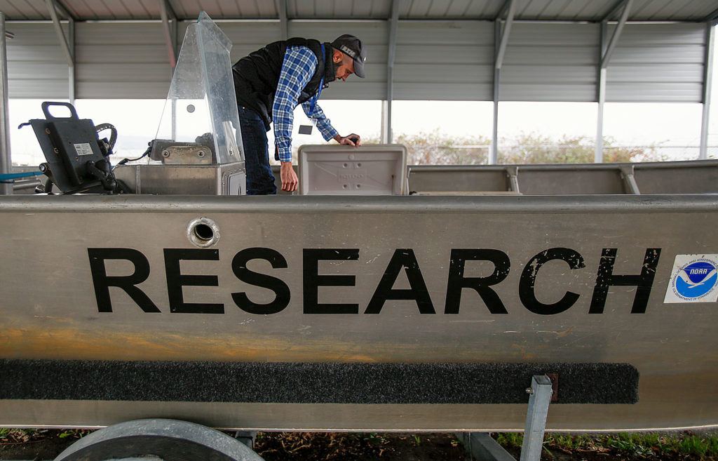 Barney Boyer checks a container in the “R/V Seahawk,” a National Oceanic and Atmospheric Administration research boat. An Air Force veteran who served in Qatar at the Al Udeid Air Base during the early years of the Iraq war, Boyer, 35, is the first military veteran with a NOAA Fisheries internship. He is based at the Northwest Fisheries Science Center’s Mukilteo Research Station. (Dan Bates / The Herald)
