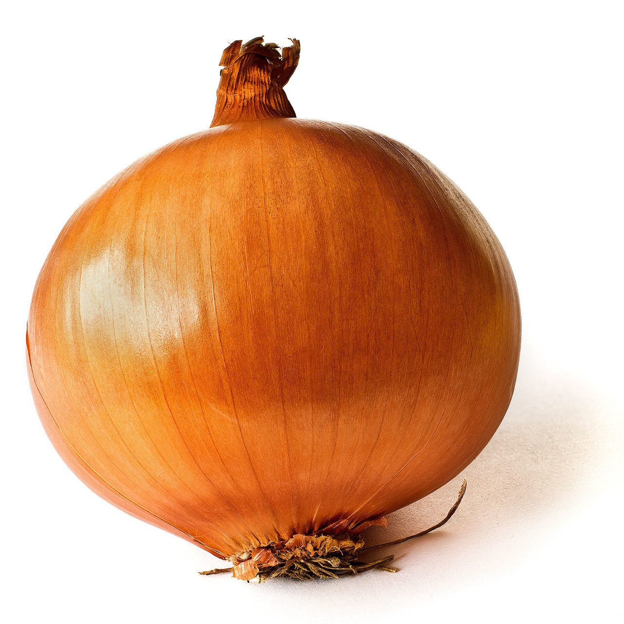 Wikimedia Commons                                 The yellow onion is a workhorse in the kitchen.