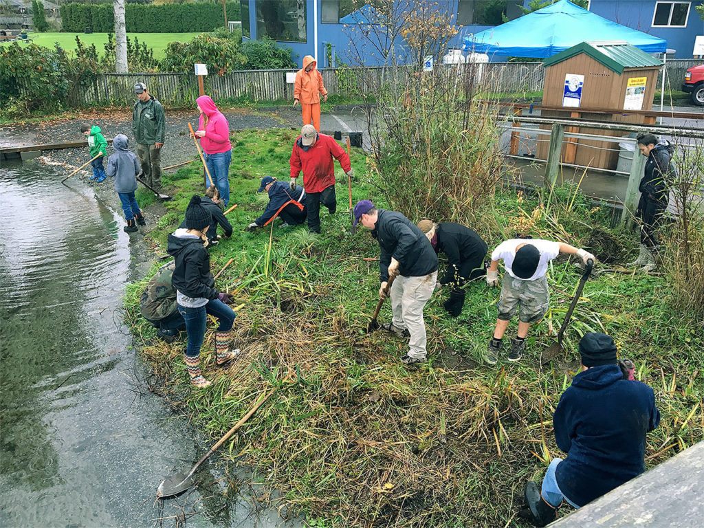 The Snohomish Conservation District was joined by volunteers from North Cascades Crew rowing club as well as other local residents for a work party at Lake Stevens on Oct. 29. Volunteers planted native trees, shrubs and plants, including a rain garden at Lundeen Park and an additional planting along the shoreline at the downtown boat launch. (Contributed photo)
