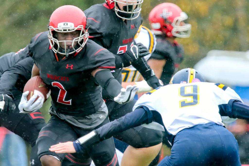 Archbishop Murphy’s Emmanuel Osuoha rushes for additional yardage with Burlington-Edison’s Hunter Anderson closing in during the Wildcats’ 55-6 victory over the Tigers in a 2A bi-district playoff game on Saturday in Everett. (Kevin Clark / The Herald)
