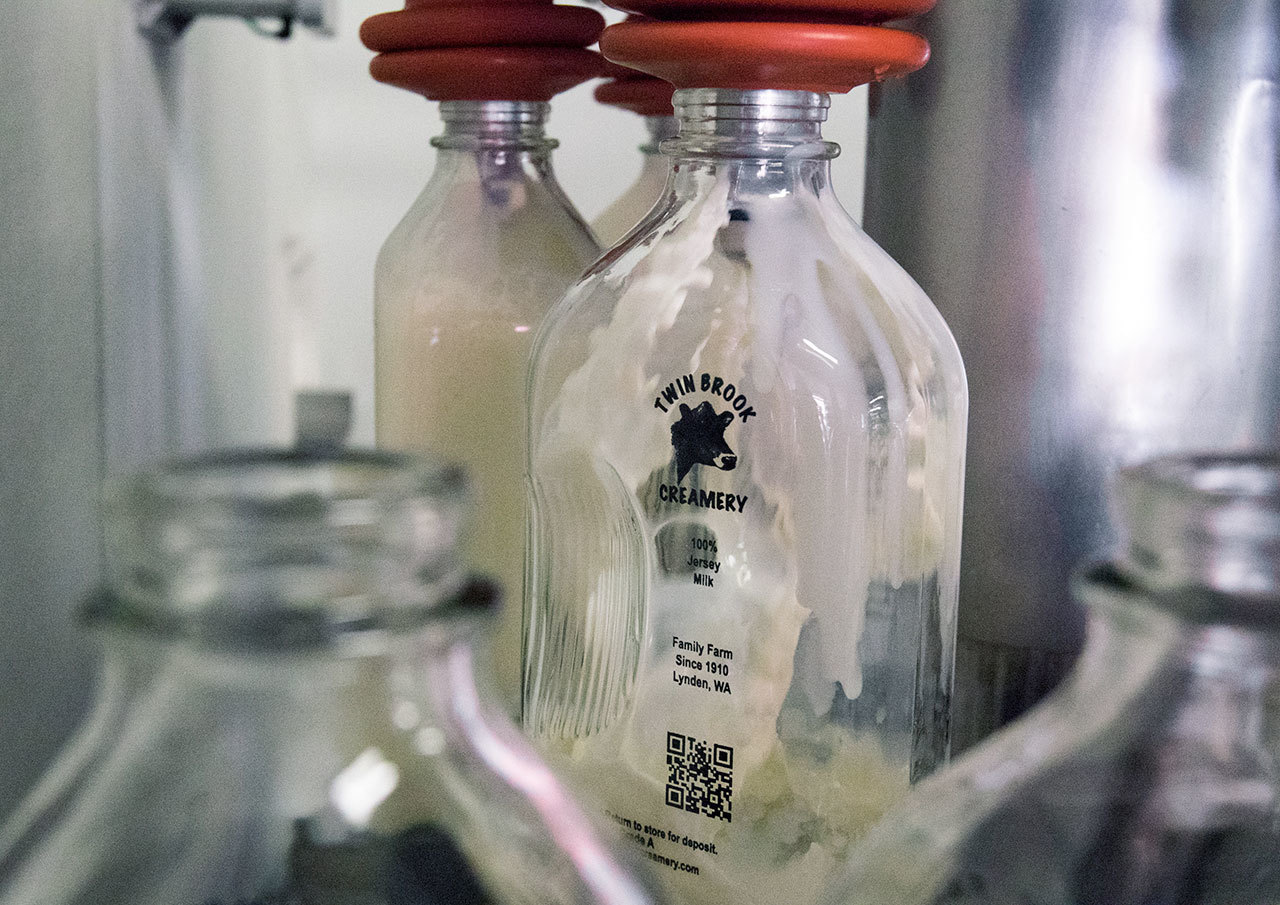 Whole milk is poured into bottles at the Twin Brook Creamery in Lynden. (Andy Bronson / The Herald)
