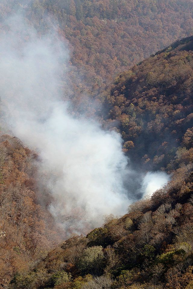 A wildfire burns in the North Chickamauga Creek Gorge along the Flipper Bend area of Signal Mountain, Tennessee, on Wednesday, Nov. 9. (Dan Henry/Chattanooga Times Free Press via AP)