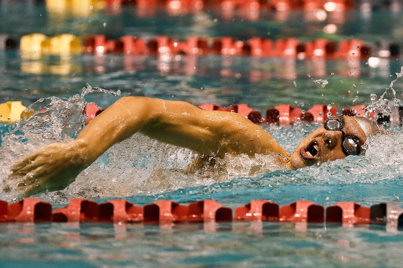 Jon Cook of Jackson High School swims his way to a first-place finish in the 200 individual medley during the Class 4A boys state meet in February at the King County Aquatic Center in Federal Way. (Kevin Clark / The Herald)