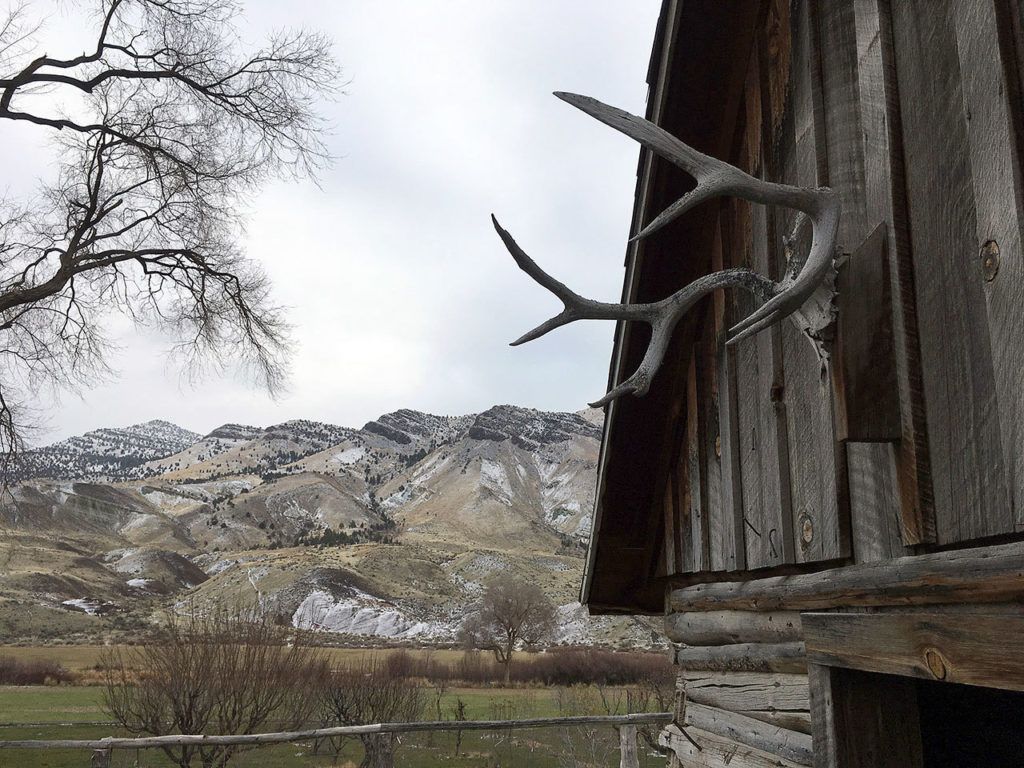 Antlers hang above a doorway of a pioneer building near Dayville, Oregon. Sixty-six percent of the county’s 4,529 square miles of forests, mountains and high desert are federal lands, which sometimes puts locals in opposition with federal land managers. (AP Photo/Andrew Selsky)
