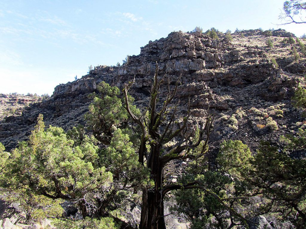 To enjoy hiking the Dry River Canyon requires taking the time to study the rock formations and gnarled junipers. (Dean Guernsey / The Bulletin)
