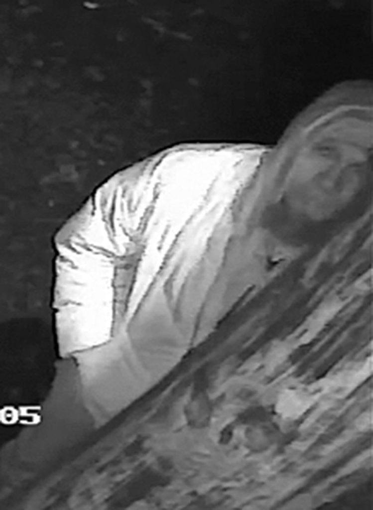 Neighbors at the Mount Index Riversites say people creep through the woods at night, and surveillance video of recent vandalism seems to prove it. (Snohomish County Sheriff’s Office)
