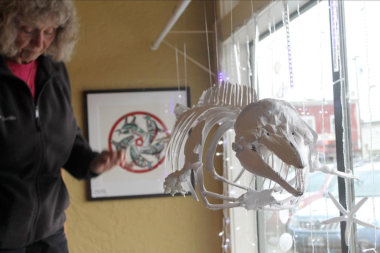 A porpoise skeleton called “Maxine” recently was installed at the Langley Whale Center. (Evan Thompson / The Record)
