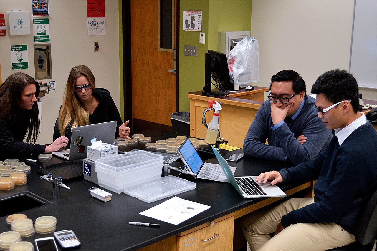 Edmonds Community College students (from left) Cali Drake, Stephanie Bernard, Chris Nguyen and Thinh Pham participated in a NASA-funded undergraduate research project during fall quarter. (Contributed photo)