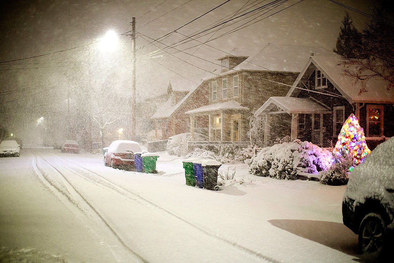 Heavy, wet snow fell and rapidly accumulated in SE Portland, Oregon, on Tuesday night, Jan. 10. (Dave Killen/The Oregonian via AP)