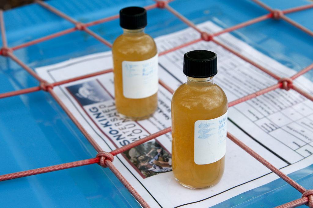 Water samples collected by Bain are seen. (Ian Terry / The Herald)
