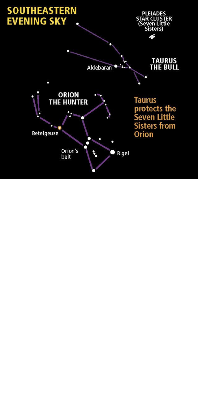 The great winter chase in Everett skies: Orion and his gang