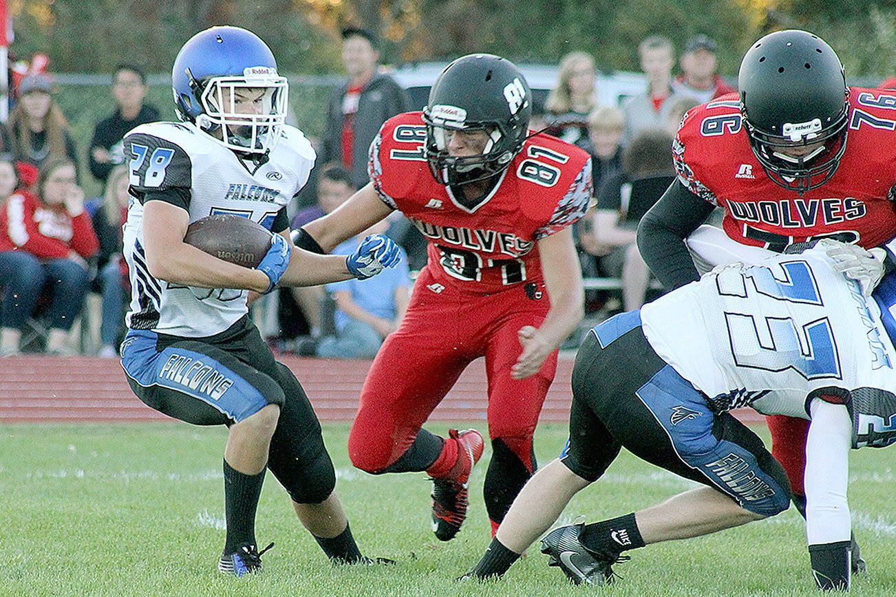 South Whidbey football team to play as independent in 2017