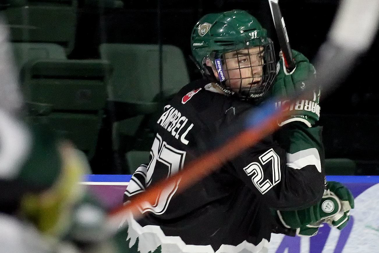 Junior Silvertips hockey team gives local youths a shot