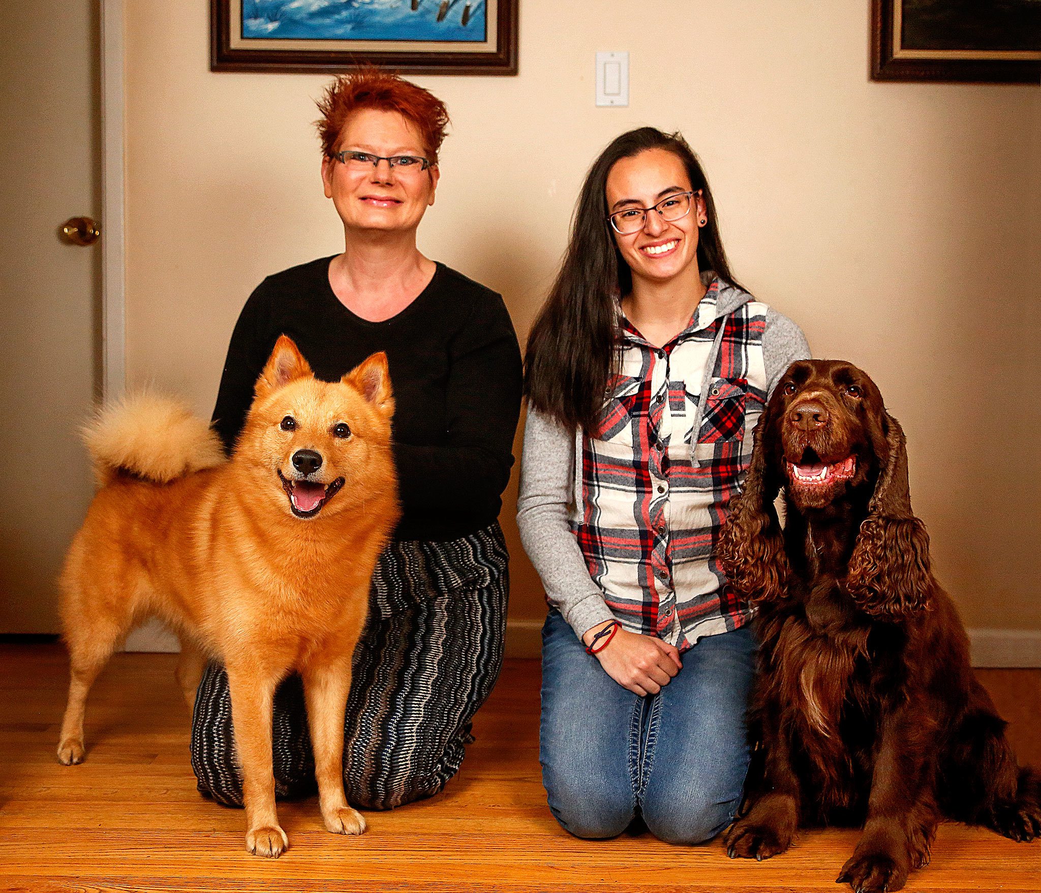 Everett’s Wendy Whiteley (left) with Zoom, her Finnish Spitz, gets together at her Lowell neighborhood home with Shahntae Martinez and her Field Spaniel, Hudson. Martinez, a 17-year-old Sequoia High School student, and Whiteley will compete with their dogs next week at the Westminster Kennel Club Dog Show in New York City. (Dan Bates / The Herald)