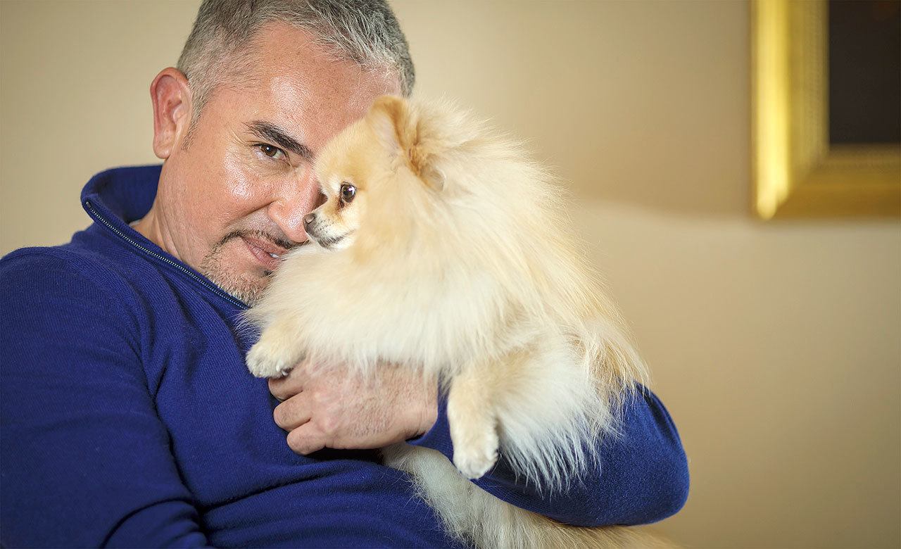 Cesar Millan - Walking with your dog is the single most