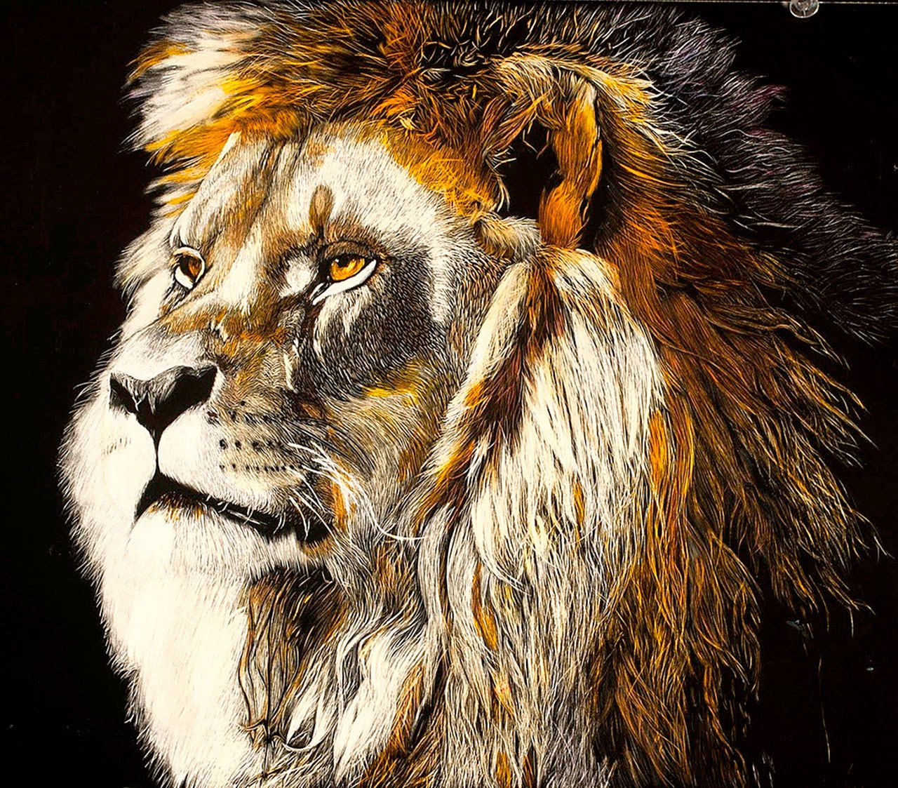 “King of the Jungle” by Amanda Parks, a senior at Stanwood High School, is displayed through February at the Schack in Everett.