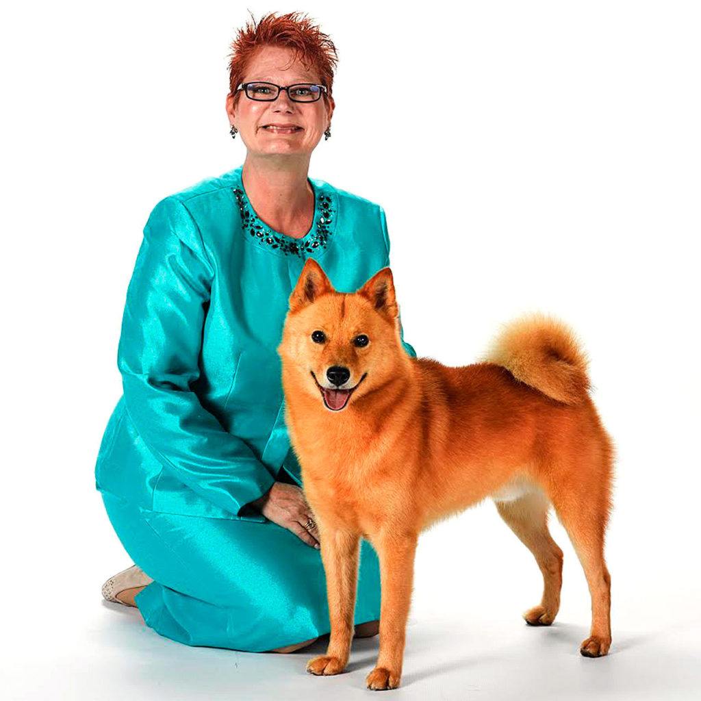 Everett’s Wendy Whiteley, with Zoom, her Finnish Spitz, will compete next week in the Westminster Kennel Club Dog Show in New York City. (Photo Courtesy Wendy Whiteley)
