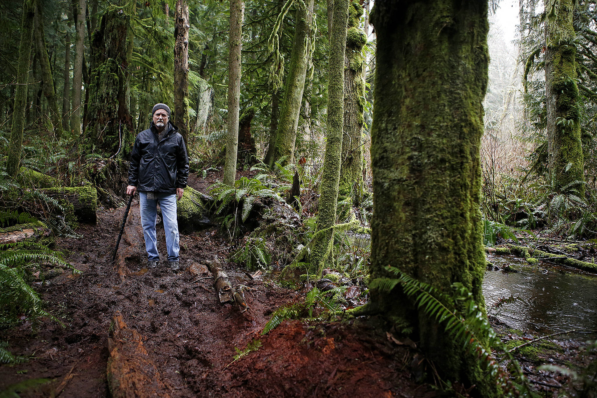 Rick Reed stands on a trail next to a boggy area at Lord Hill Park known as “Wayne’s World” on Thursday. Reed is worried the quiet and environmentally fragile area of the park could be damaged if preliminary plans to designate 337 acres to mountain bikes are approved. (Ian Terry / The Herald)