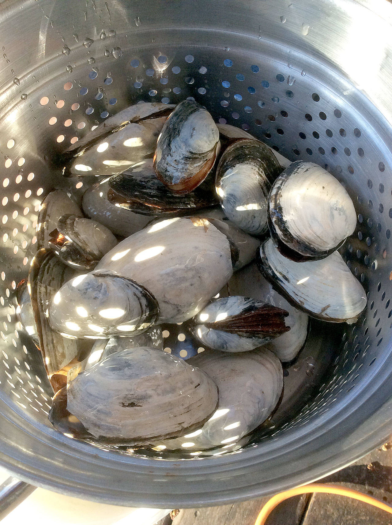 If you like to go clamming, you’ll dig these chowders and stews