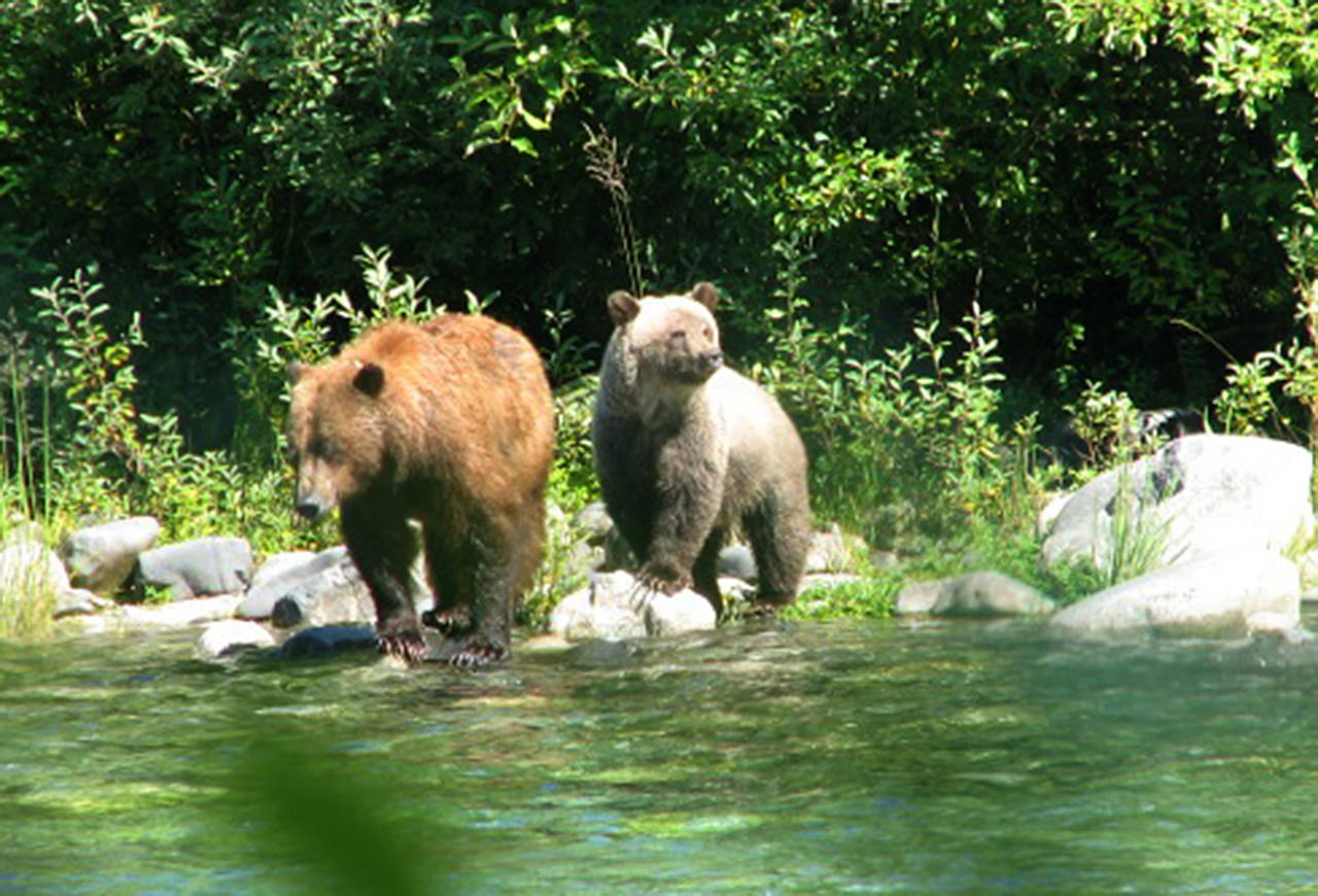 Steve Rochetta / National Park Service