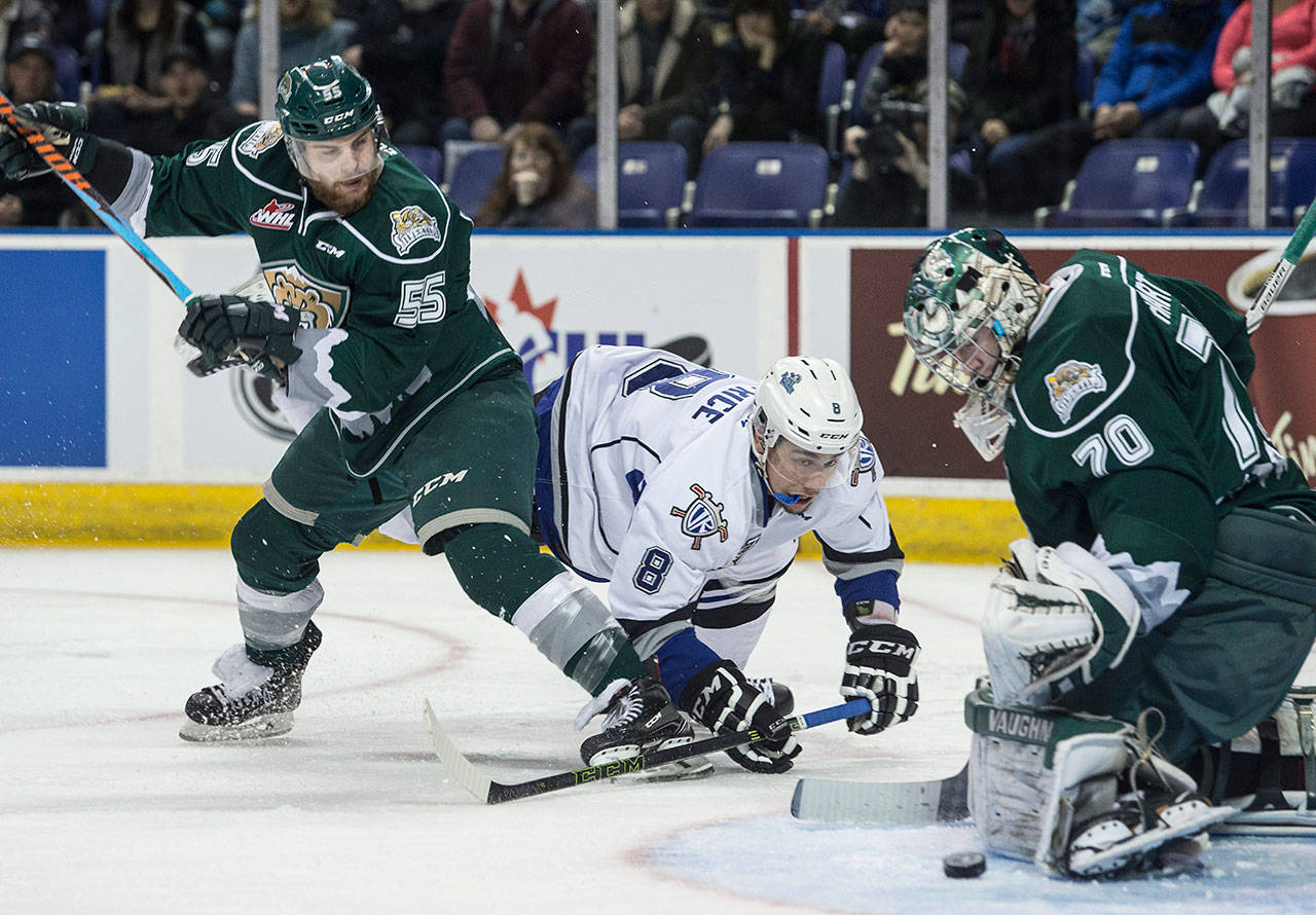 The Royals’ Ethan Price gets checked by the Silvertips’ Aaron Irving as goalie Carter Hart makes a save in a playoff game March 28, 2017, in Victoria, B.C. (Darren Stone / Times Colonist)