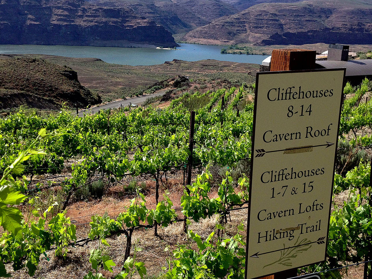 Cave B Estate Winery adjacent to the Gorge Amphitheater uses fruit from estate vines that overlook the Columbia River. (Photo by Eric Degerman/Great Northwest Wine)