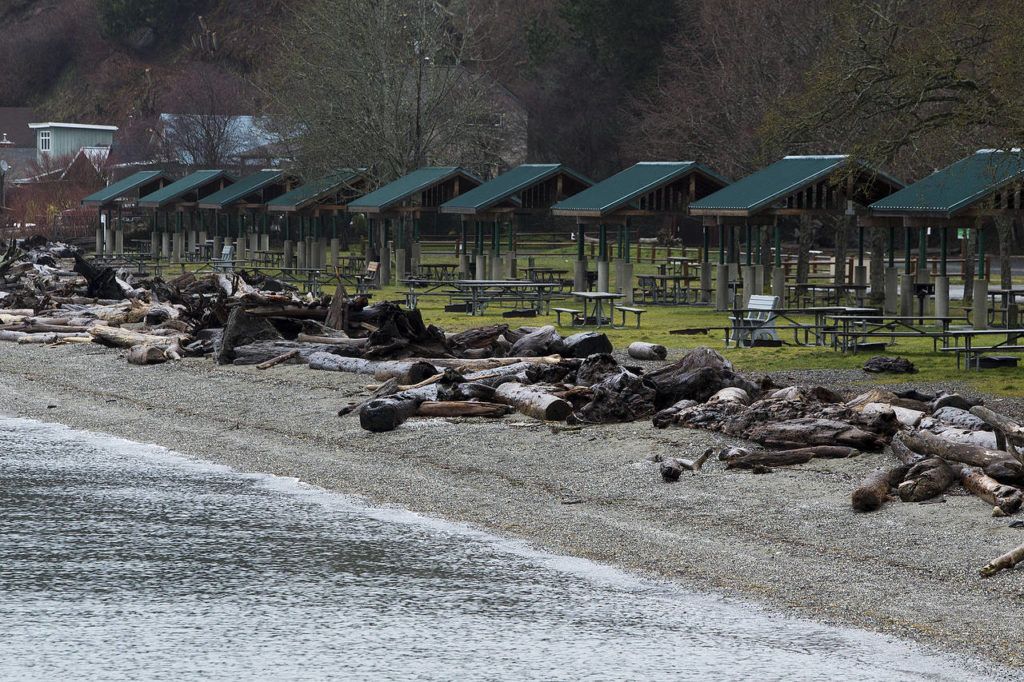 The shoreline of Kayak Point Park (Ian Terry / The Herald)
