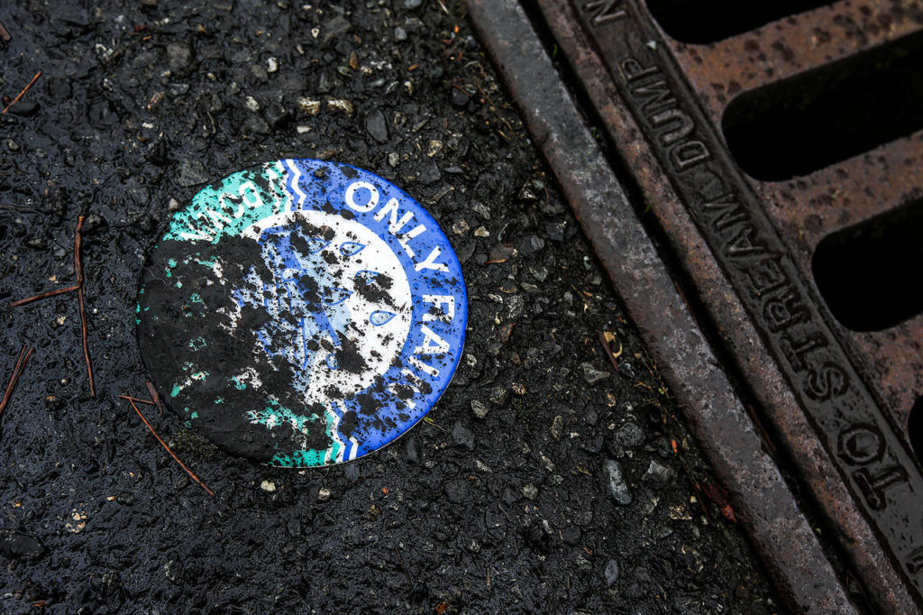 Informational signs near drains in Mill Creek have been covered and most are now illegible. (Ian Terry / The Herald)
