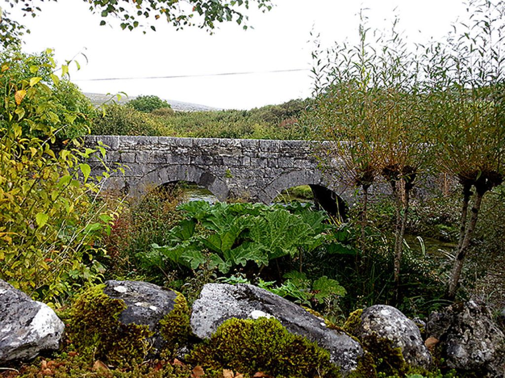 Caher Bridge Garden in Ballyvaughan, Ireland. (Sandra Schumacher photo)
