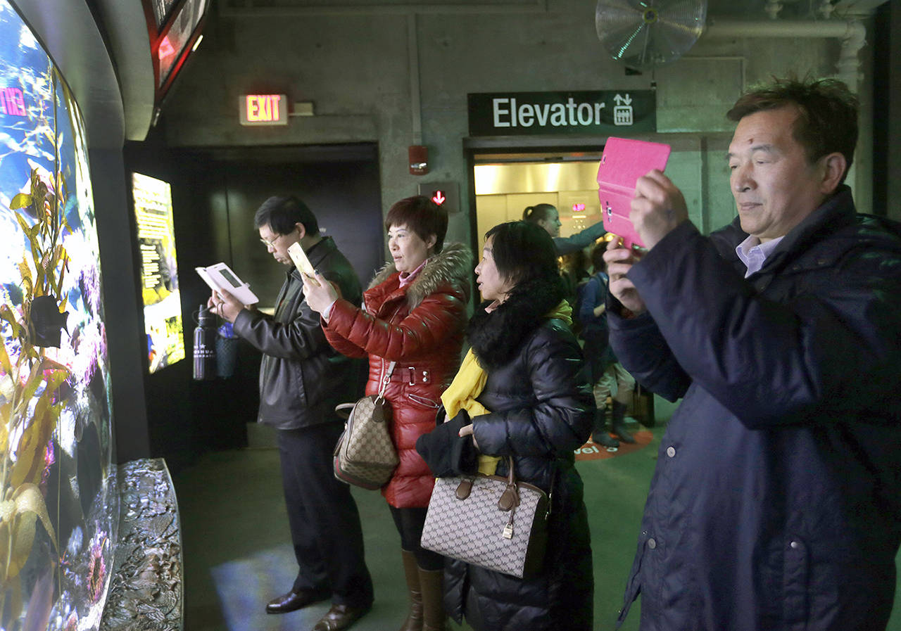 In this March 27 photo, tourists from China take pictures at the New England Aquarium in Boston. (AP Photo/Elise Amendola)